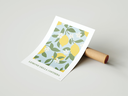 Citron.webp