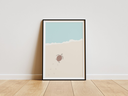 Tortue.webp