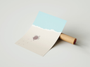 Tortue.webp