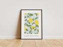 Citron.webp