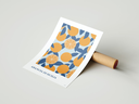 Orange.webp