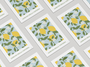 Citron.webp