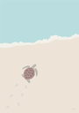 Poster La tortue sur la plage