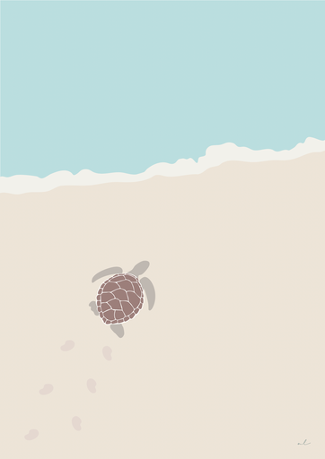 Poster La tortue sur la plage